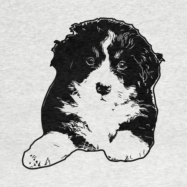 Bernese Mountain Dog Puppy by tribbledesign